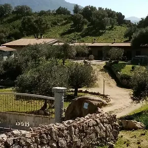 https://bb-sa-mendula-oliena.in-sardinia.net